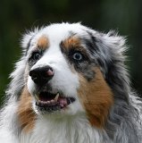 122815